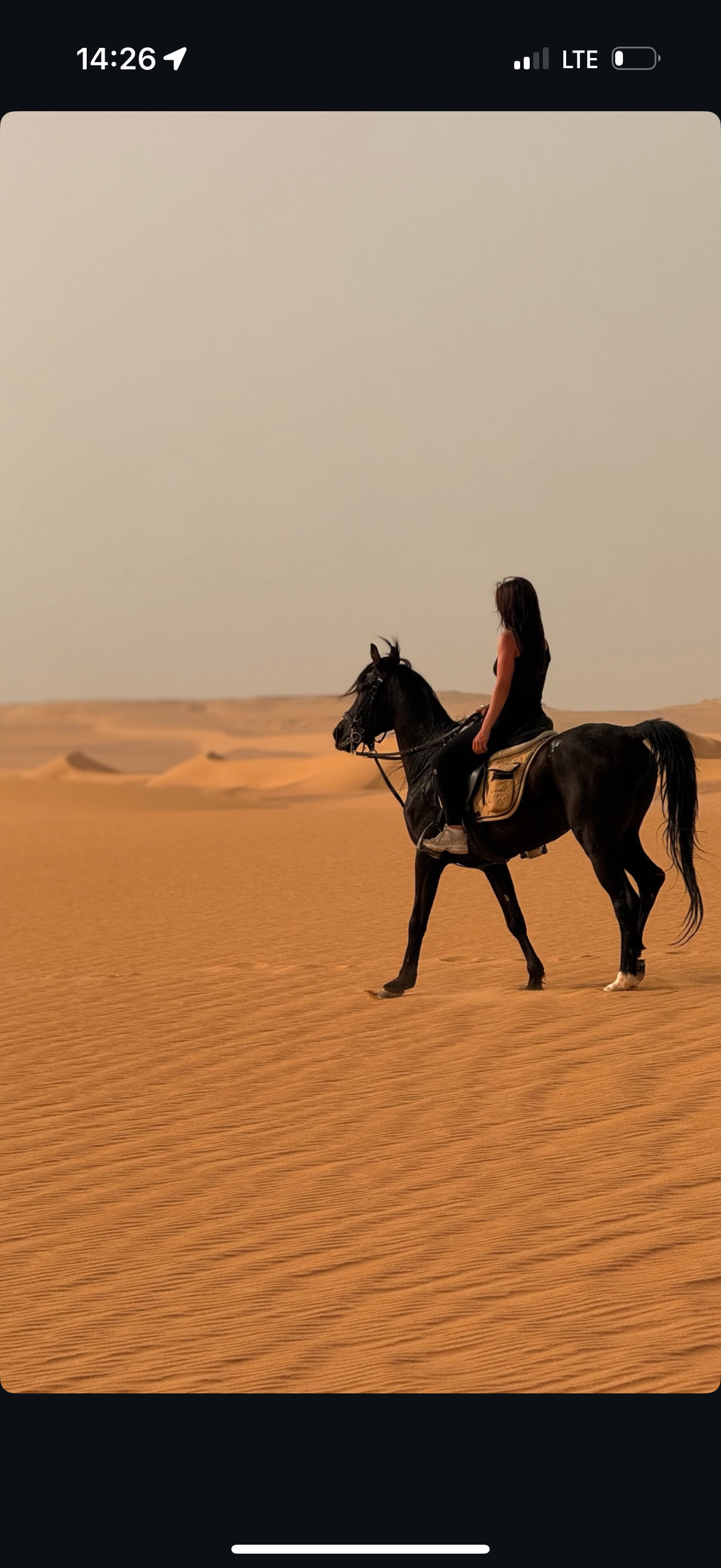 Sea, Sand & Saddles